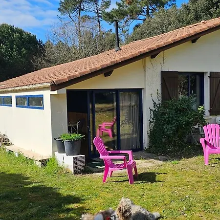 Ocean, Forest, Surf And Garden At Vert-bois