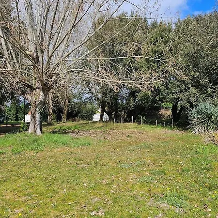 Ocean, Forest, Surf And Garden At Vert-bois Grand-Village-Plage