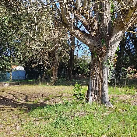 Ocean, Forest, Surf And Garden At Vert-bois Grand-Village-Plage