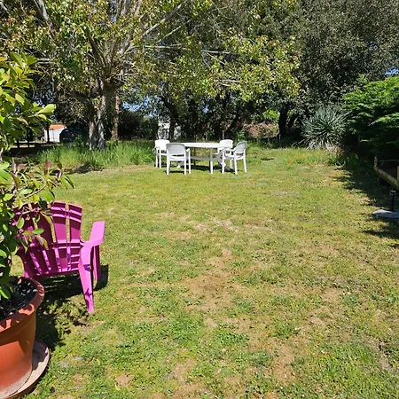 Ocean, Forest, Surf And Garden At Vert-bois *